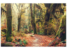 4-piece-canvas-print-fairies-forest