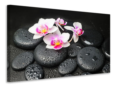 3-piece-canvas-print-feng-shui-orchid-zen