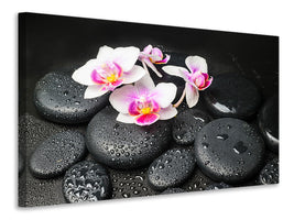 5-piece-canvas-print-feng-shui-orchid-zen