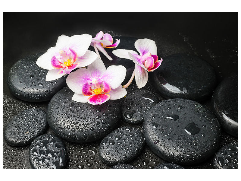 modern-4-piece-canvas-print-feng-shui-orchid-zen