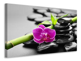 5-piece-canvas-print-feng-shui-orchid