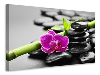 5-piece-canvas-print-feng-shui-orchid