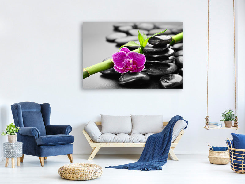 4-piece-canvas-print-feng-shui-orchid