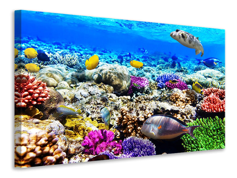 4-piece-canvas-print-fish-aquarium