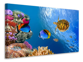 modern-4-piece-canvas-print-fish-in-the-water