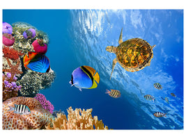 5-piece-canvas-print-fish-in-the-water