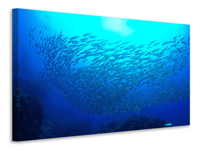 5-piece-canvas-print-fish-world