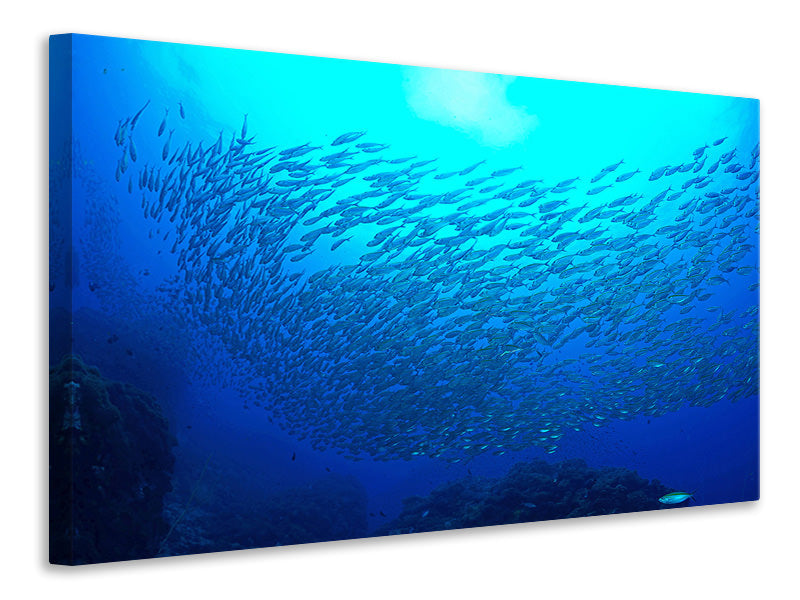 panoramic-canvas-print-fish-world