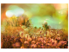 panoramic-3-piece-canvas-print-flower-meadow-at-twilight