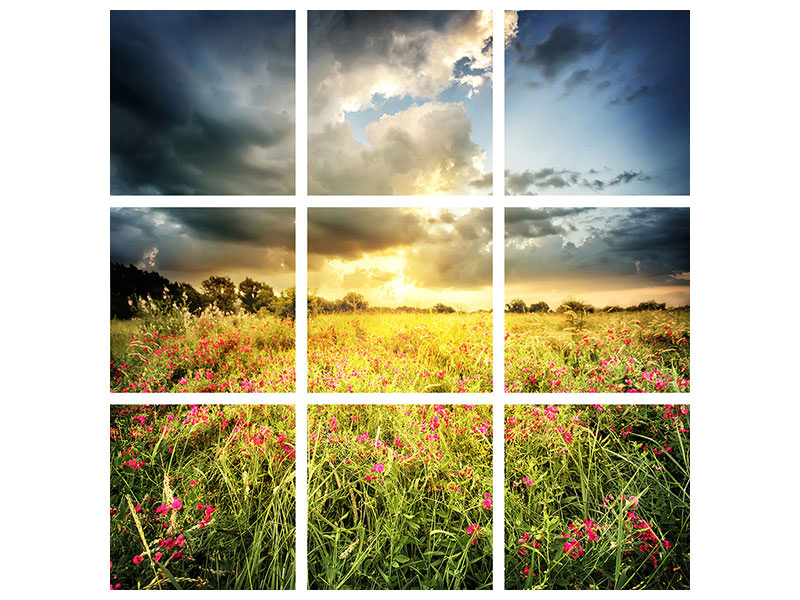 canvas-print-flowers-landscape