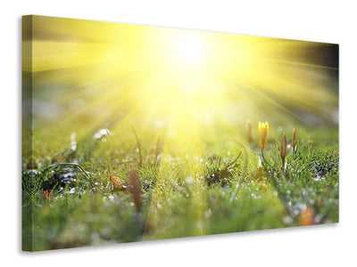 3-piece-canvas-print-flowery-meadow