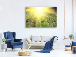 5-piece-canvas-print-flowery-meadow