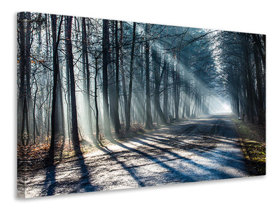 5-piece-canvas-print-forest-in-the-light-beam