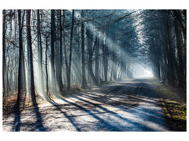 panoramic-canvas-print-forest-in-the-light-beam