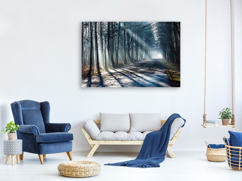 panoramic-3-piece-canvas-print-forest-in-the-light-beam