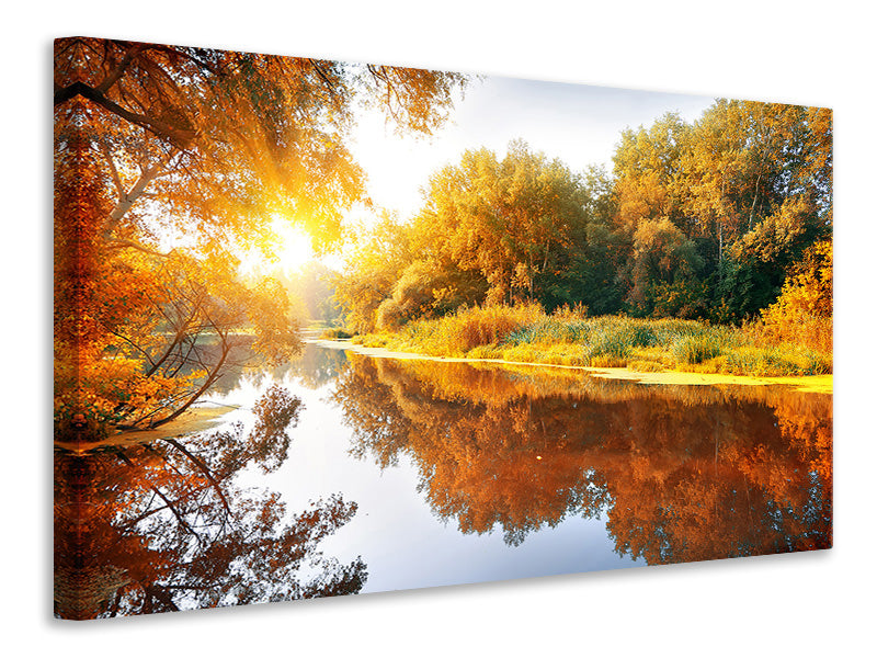 5-piece-canvas-print-forest-reflection-in-water
