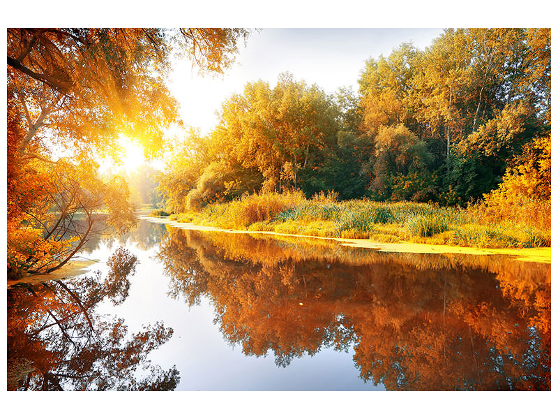 4-piece-canvas-print-forest-reflection-in-water