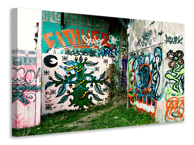 panoramic-canvas-print-graffiti-in-the-backyard