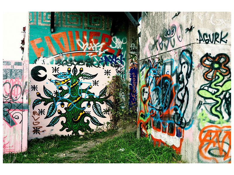 panoramic-canvas-print-graffiti-in-the-backyard