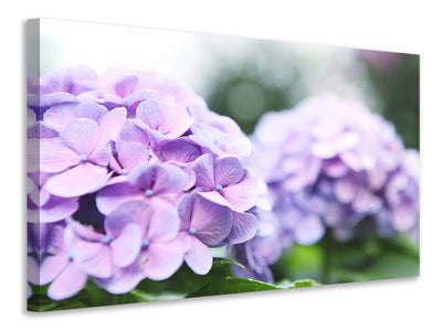 modern-3-piece-canvas-print-hydrangeas