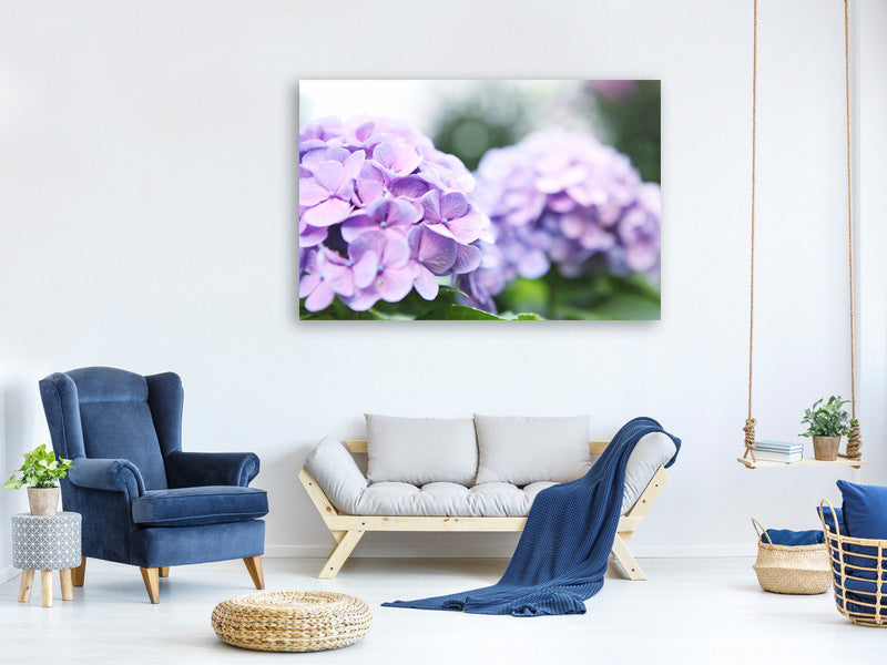 5-piece-canvas-print-hydrangeas