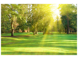 4-piece-canvas-print-in-the-park