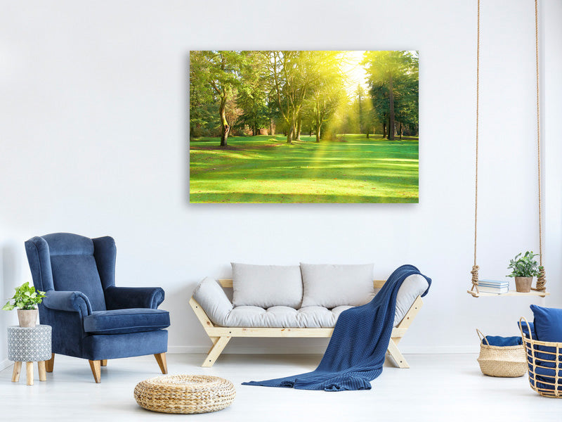 4-piece-canvas-print-in-the-park