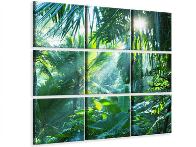 canvas-print-in-tropical-forest