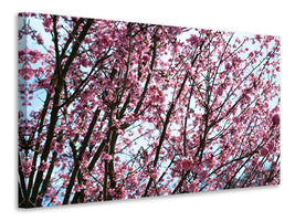 5-piece-canvas-print-japanese-cherry-blossom