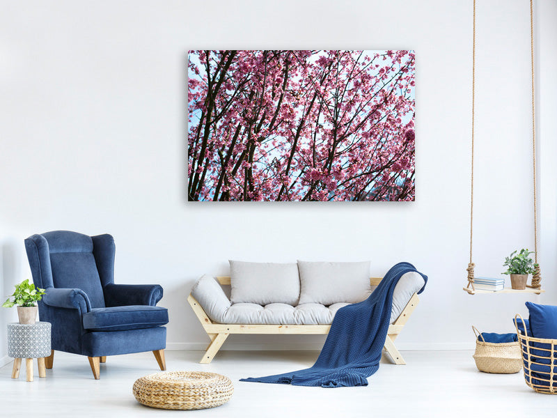 3-piece-canvas-print-japanese-cherry-blossom