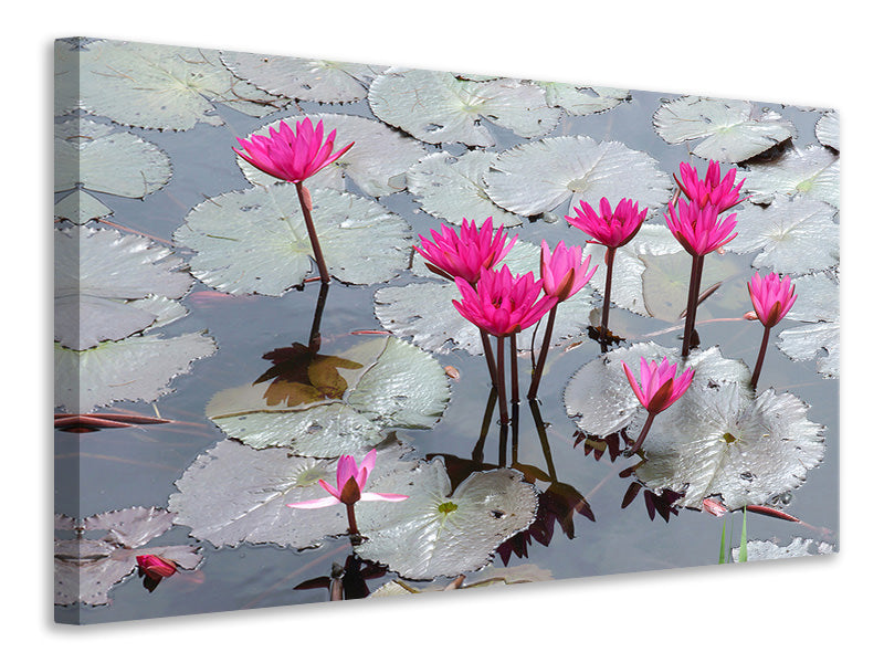 4-piece-canvas-print-jump-in-the-lily-pond