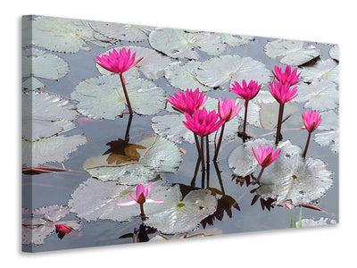3-piece-canvas-print-jump-in-the-lily-pond
