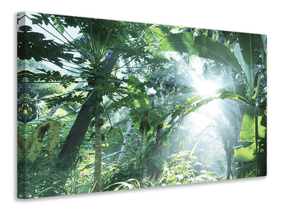 3-piece-canvas-print-jungle-star