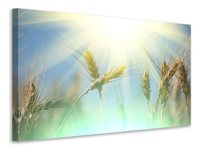 modern-3-piece-canvas-print-king-of-cereals