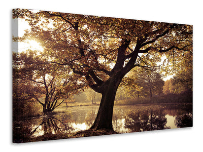 4-piece-canvas-print-landscape-park
