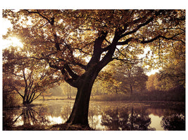 4-piece-canvas-print-landscape-park