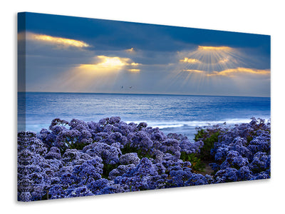 modern-3-piece-canvas-print-lavender-and-sea