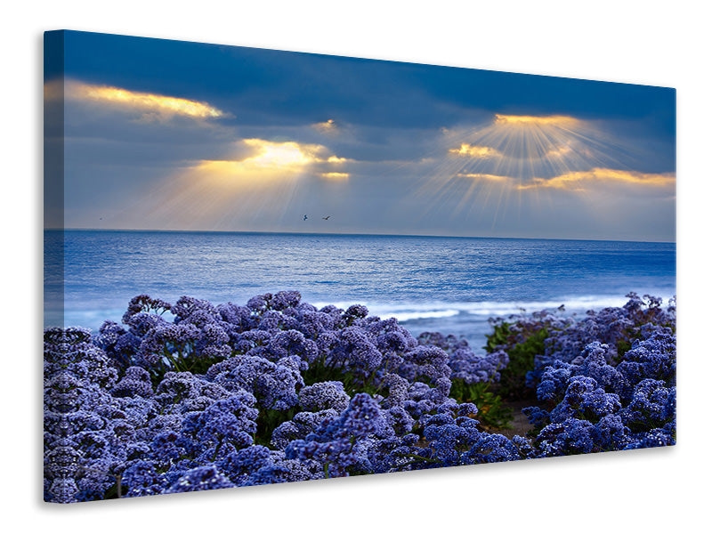 modern-4-piece-canvas-print-lavender-and-sea