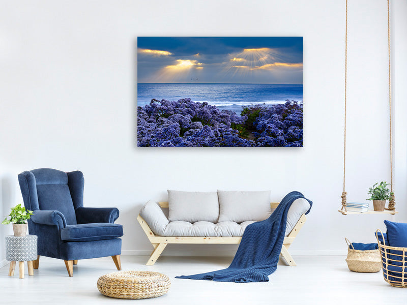 5-piece-canvas-print-lavender-and-sea
