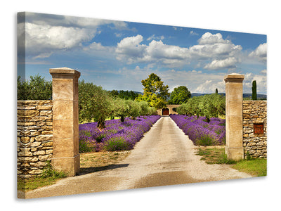 panoramic-canvas-print-lavender-garden