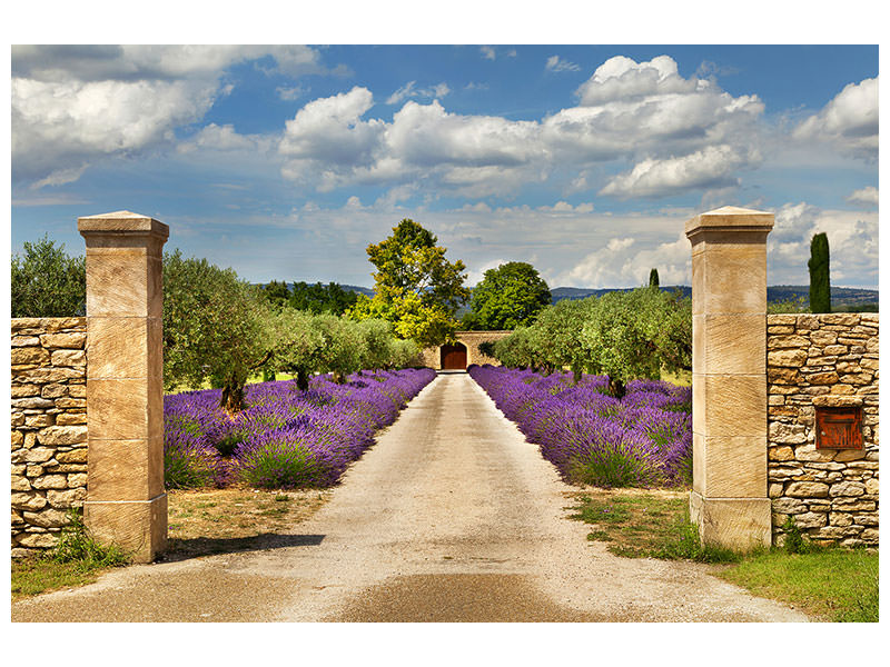 panoramic-3-piece-canvas-print-lavender-garden