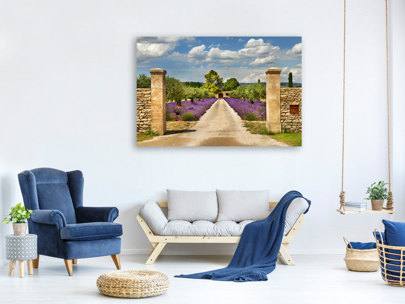 5-piece-canvas-print-lavender-garden