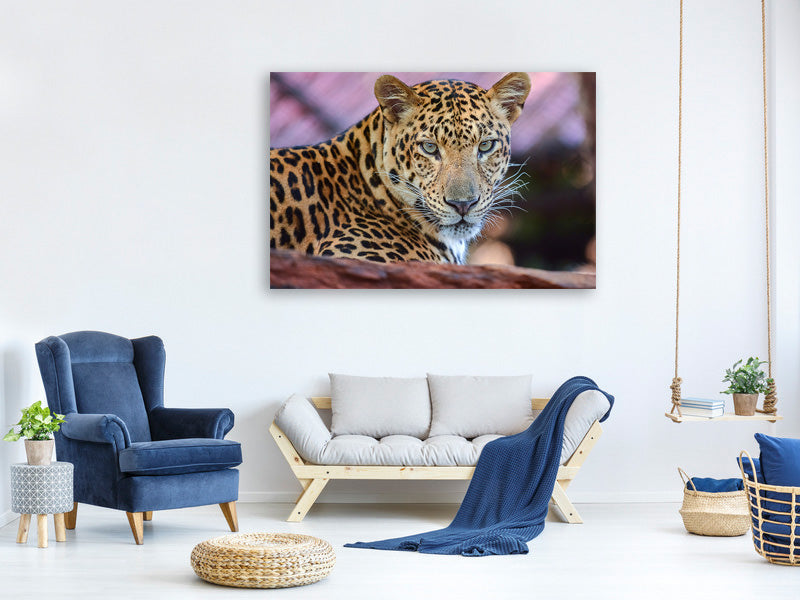 modern-3-piece-canvas-print-leopard