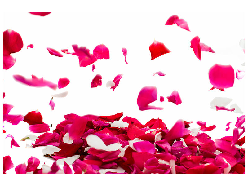 4-piece-canvas-print-let-it-rain-red-roses-for-me