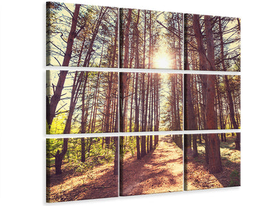 4-piece-canvas-print-light-at-the-end-of-the-forest-path