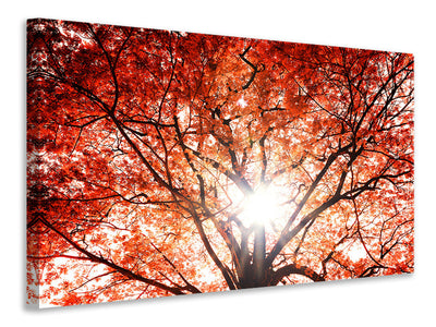5-piece-canvas-print-light-of-autumn