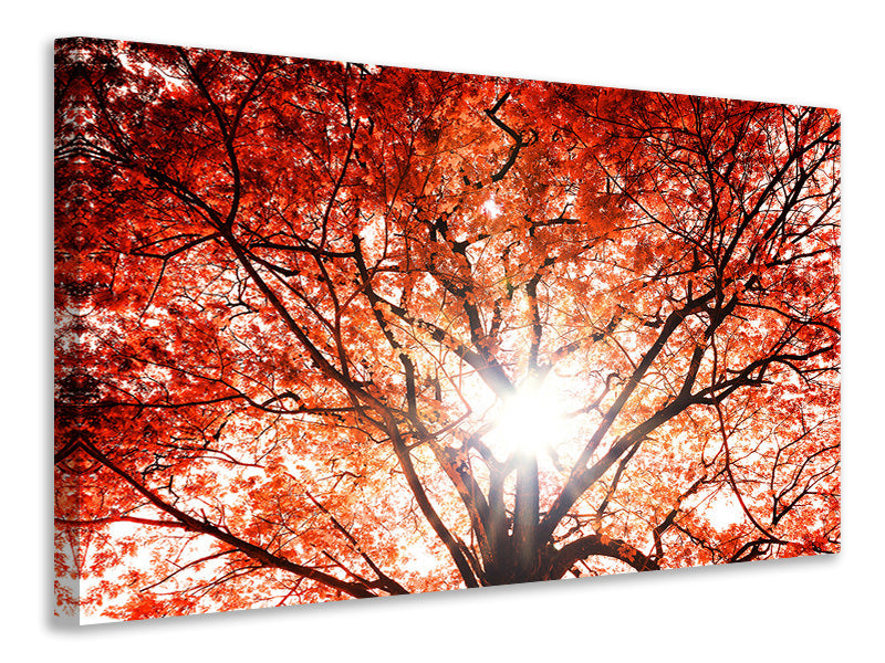 4-piece-canvas-print-light-of-autumn