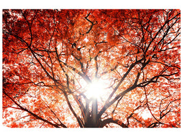 4-piece-canvas-print-light-of-autumn
