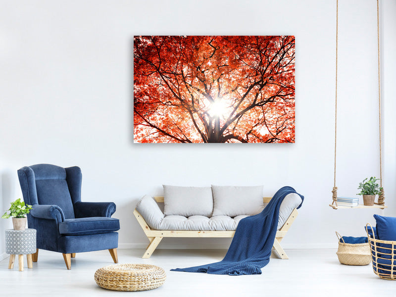 panoramic-3-piece-canvas-print-light-of-autumn