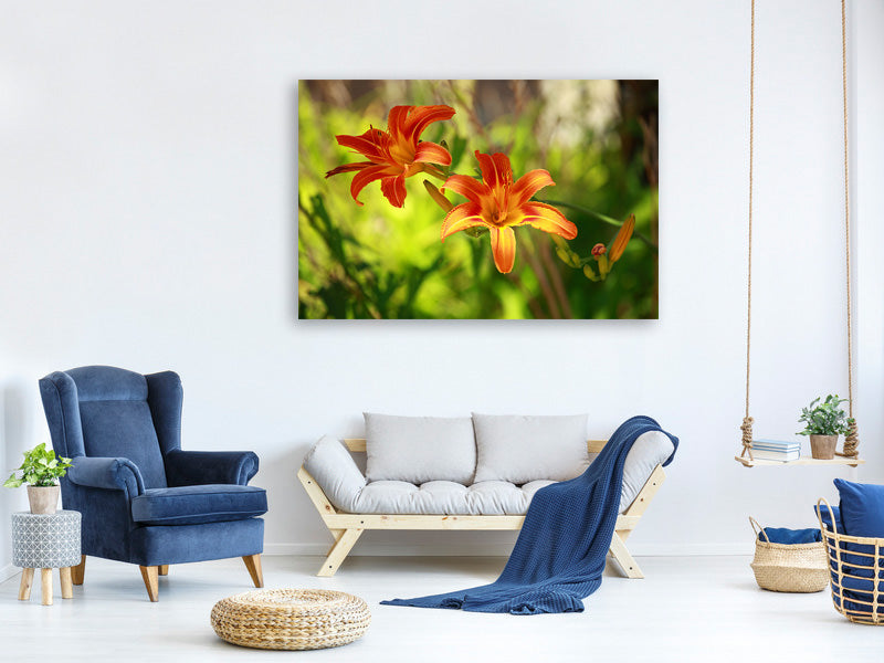 5-piece-canvas-print-lilies-in-nature